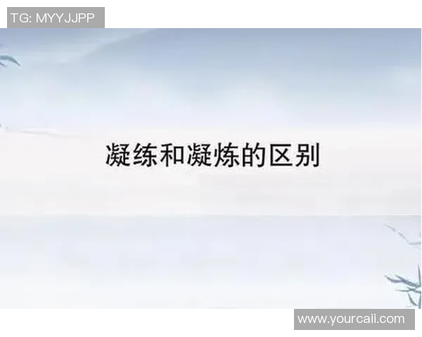 张伟的攀岩人生：在高峰与深渊之间的深度对话与思考