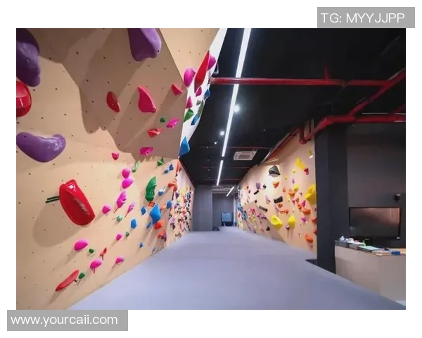 攀岩深度探索：揭秘北京攀岩队的战术与训练之道